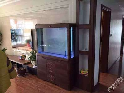 grech是什么牌子的魚缸怎么放水：27篇grech魚缸養殖方法介紹