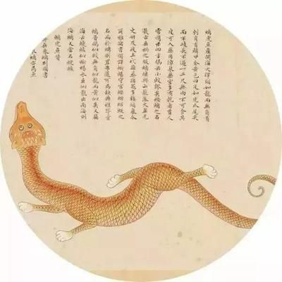 印度虎魚的愛情 狐陽：有聲書:印度虎魚的愛情