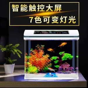 不用打理的魚缸：不用打理的魚缸是怎樣的？