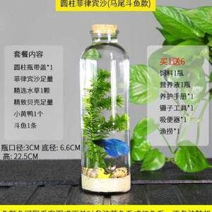 斗魚缸裝飾不能放什么植物：斗魚缸裝飾與水質(zhì)控制