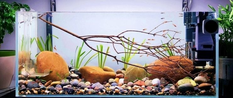 森森除油膜器出水口流量怎么調