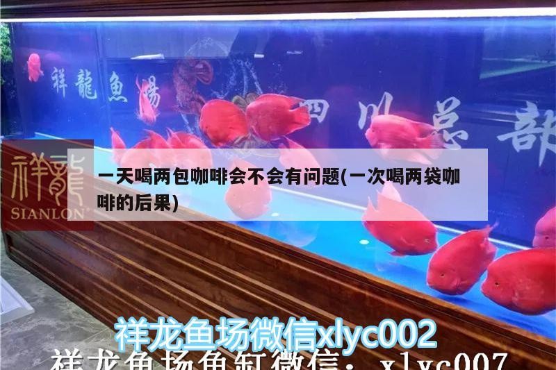 一天喝兩包咖啡會不會有問題(一次喝兩袋咖啡的后果)