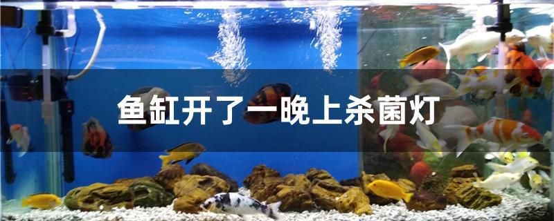 小魚缸水泵不抽水怎么辦視頻（魚缸抽水泵不出水怎么辦）