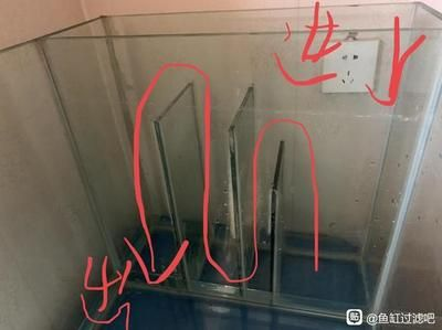 10cm魚缸過濾：10cm寬魚缸過濾系統推薦10cm寬魚缸過濾系統