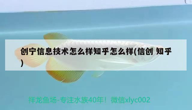 創寧信息技術怎么樣知乎怎么樣(信創知乎) 創寧信息技術怎么樣知乎怎么樣(信創知乎) 創寧水族