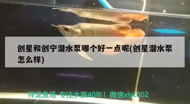 創星和創寧潛水泵哪個好一點呢(創星潛水泵怎么樣)