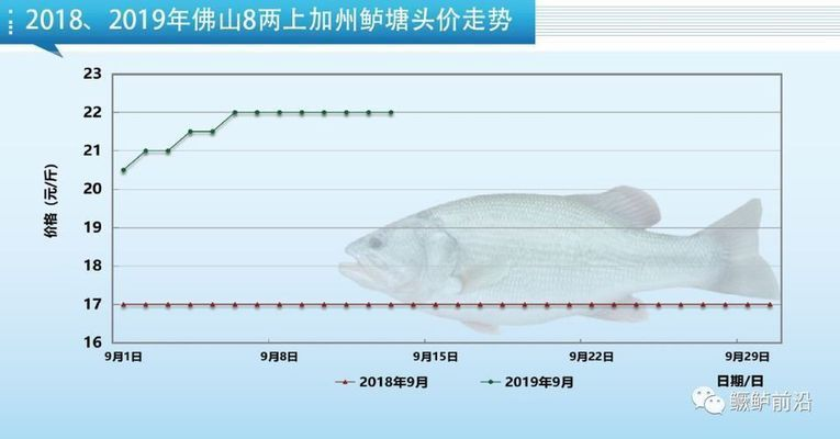 龍魚玩家最佳龍缸尺寸是多少啊vs祥龍魚場：關于龍魚玩家最佳龍缸尺寸的網站推薦