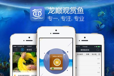 觀賞魚app有哪些（與觀賞魚app相關的推薦：與觀賞魚app相關的推薦）