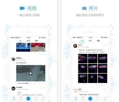 觀賞魚app有哪些（與觀賞魚app相關(guān)的推薦：與觀賞魚app相關(guān)的推薦）