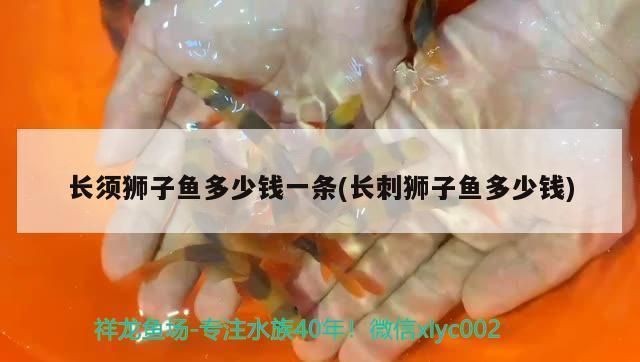 龍魚身上長刺是什么情況vs祥龍魚場：\"龍魚身上長刺\"是什么情況vs祥龍魚場