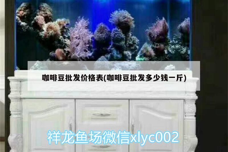 咖啡豆批發價格表(咖啡豆批發多少錢一斤)