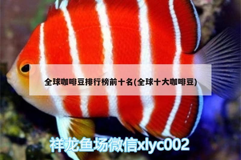 全球咖啡豆排行榜前十名(全球十大咖啡豆)