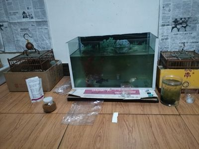 龍魚的過濾材料怎么用