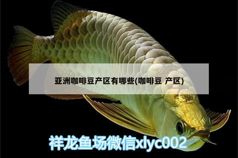 亞洲咖啡豆產區有哪些(咖啡豆產區)