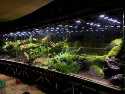 1.5米×0.7米魚缸：1.5米×0.7米的魚缸重量、容量以及相關(guān)的價格和建議