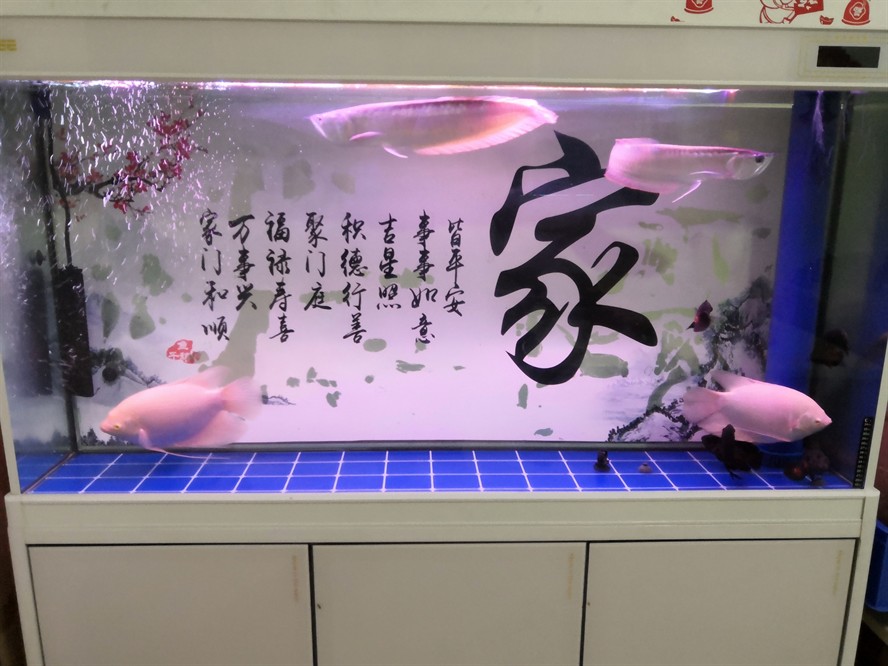 這貨成缸霸了