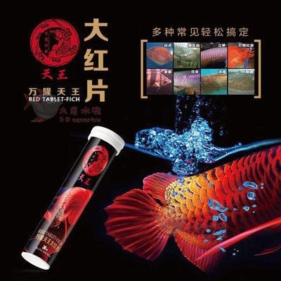 虎魚身上有白點下什么藥：如何治療虎魚白點病