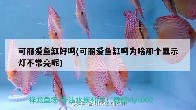 可麗愛魚缸好嗎(可麗愛魚缸嗎為啥那個顯示燈不常亮呢)