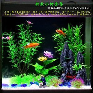 鹽邊縣新城水族館（鹽邊縣新城水族館電話）
