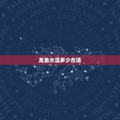 龍魚飼養(yǎng)溫度是多少vs祥龍魚場：祥龍魚場龍魚飼養(yǎng)常見問題解答如何挑選健康龍魚