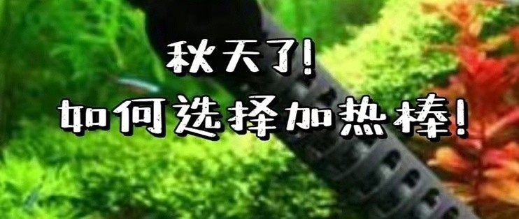 博特變頻泵到底好不好使呀（博特變頻泵到底好不好使呀）