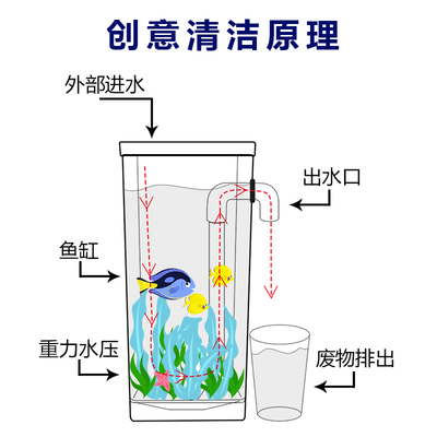 銀川市興慶區(qū)張阿文水族（銀川市興慶區(qū)張阿文水族館地址）