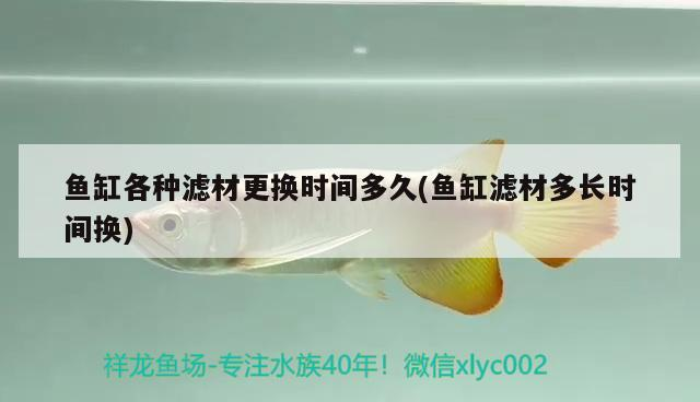 魚缸各種濾材更換時間多久(魚缸濾材多長時間換)