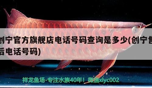創(chuàng)寧官方旗艦店電話號(hào)碼查詢是多少(創(chuàng)寧售后電話號(hào)碼)
