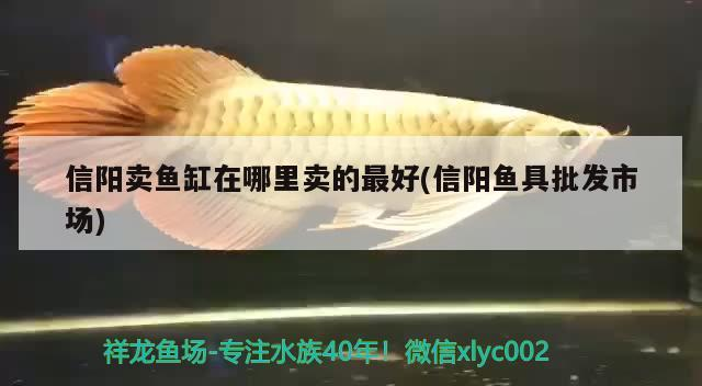 信陽賣魚缸在哪里賣的最好(信陽魚具批發(fā)市場)