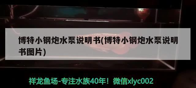 博特小鋼炮水泵說明書(博特小鋼炮水泵說明書圖片)