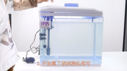 多大的魚(yú)缸需要加氧氣：養(yǎng)魚(yú)技巧：魚(yú)缸加氧泵的選擇指南