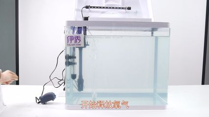 多大的魚(yú)缸需要加氧氣：養(yǎng)魚(yú)技巧：魚(yú)缸加氧泵的選擇指南