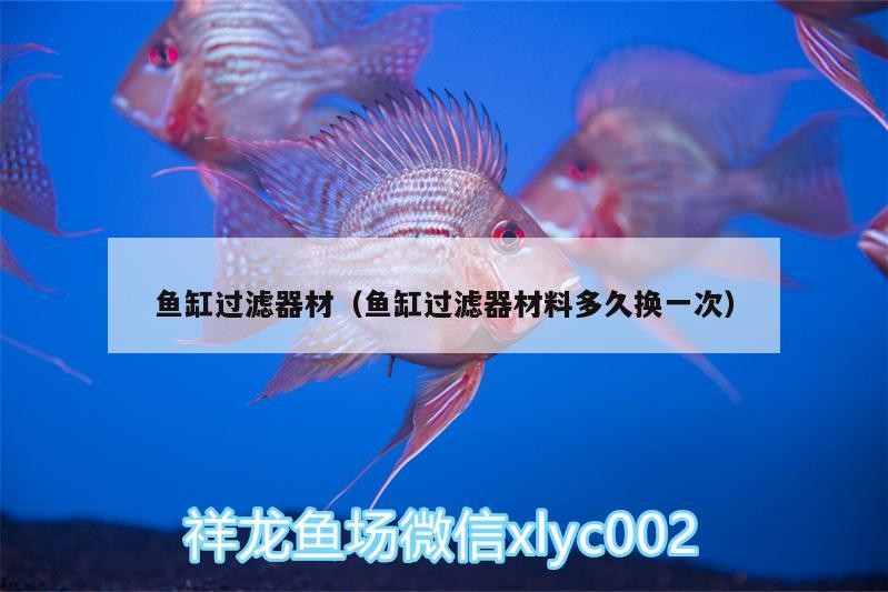魚(yú)缸過(guò)濾器材（魚(yú)缸過(guò)濾器材料多久換一次）