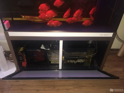 滿洲里市起順達水族行分店（滿洲里水族館地址）