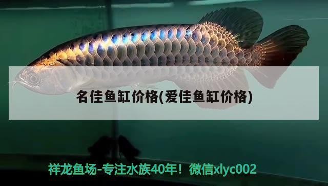魚(yú)缸虹吸溢流壺(魚(yú)缸虹吸壺制作方法)