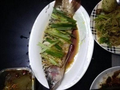 清蒸紅龍魚：清蒸紅龍魚的做法