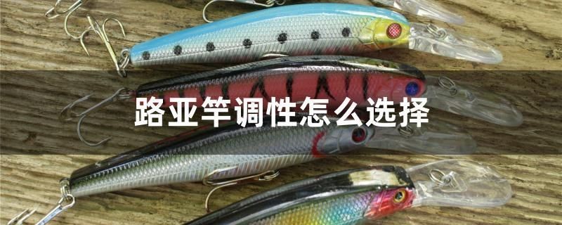 路亞竿調性怎么選擇 路亞竿調性怎么選擇 魚缸百科 第1張
