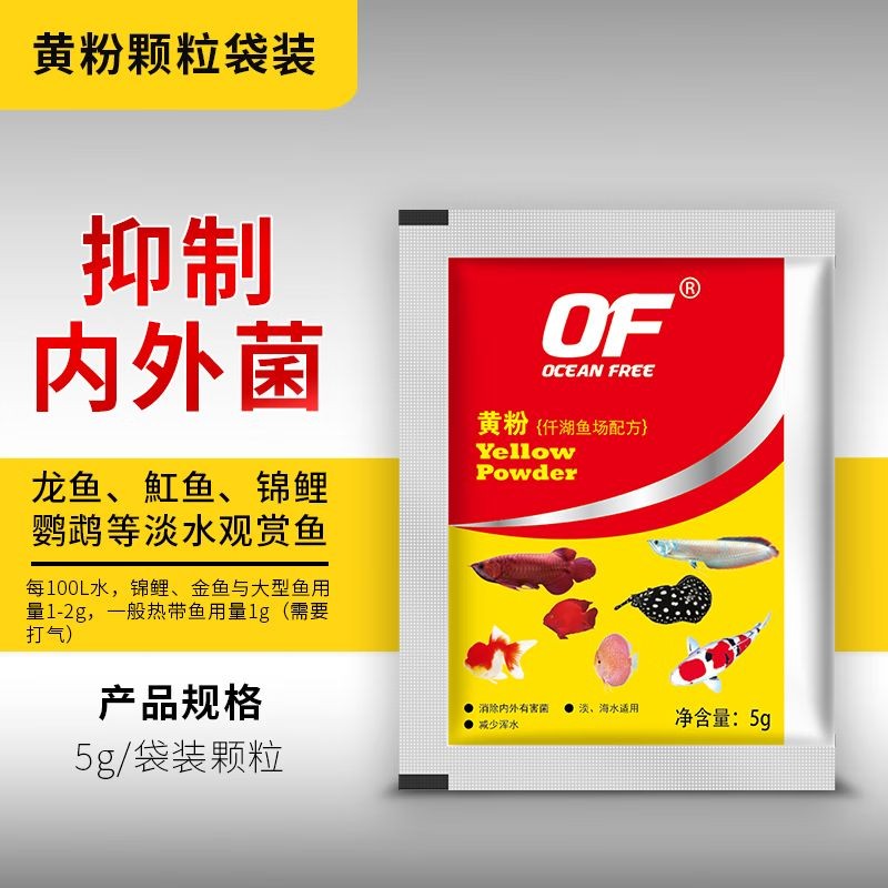 龍魚爛鰭爛尾原因vs祥龍魚場：如何挑選健康的龍魚，龍魚爛鰭癥狀及處理方法
