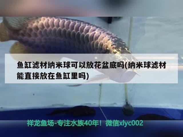 魚缸濾材納米球可以放花盆底嗎(納米球濾材能直接放在魚缸里嗎)