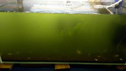 大慶市薩爾圖區龍金水族館（大慶市薩爾圖區龍金水族館電話）