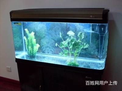 大型魚缸回收價格：大型魚缸回收價格對不起