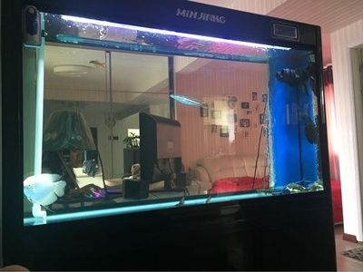 大興魚缸賣魚缸的地方有哪些：關于大興區賣魚缸的一些地點和商家