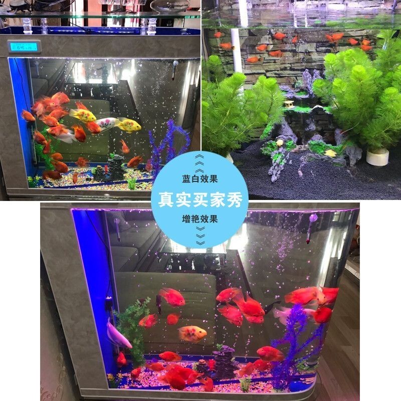 大興魚缸賣魚缸的地方有哪些：關于大興區賣魚缸的一些地點和商家