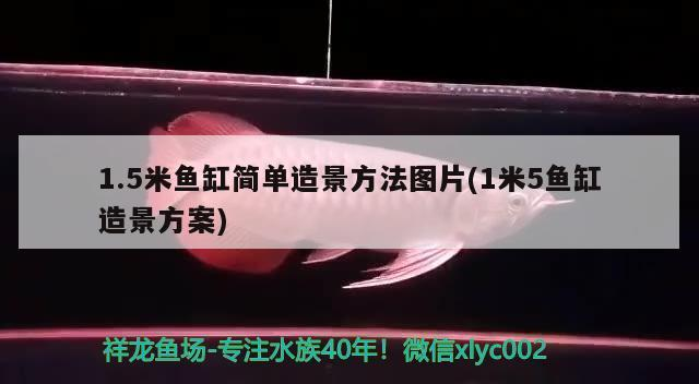 新余魚缸漏水維修電話號碼