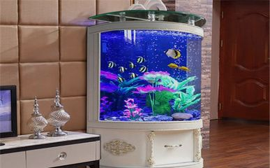 大型魚缸去哪里買好：如何選擇大型魚缸？