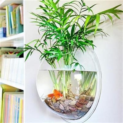 舊魚缸翻新視頻教學全集播放 舊魚缸翻新視頻教學全集播放 魚缸百科 第2張