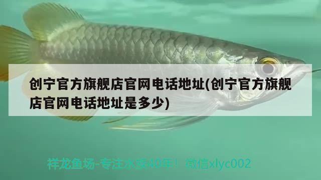 創寧官方旗艦店官網電話地址(創寧官方旗艦店官網電話地址是多少)
