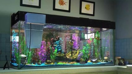 搬家搬魚(yú)缸有什么說(shuō)法沒(méi)：大型魚(yú)缸搬遷注意事項(xiàng)大型魚(yú)缸安裝需要注意事項(xiàng)