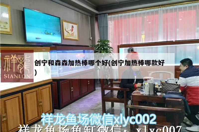 創寧和森森加熱棒哪個好(創寧加熱棒哪款好)