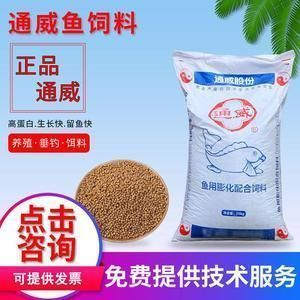 龍魚尾巴被打爛還能長好嗎vs祥龍魚場：如何預防龍魚尾巴受傷